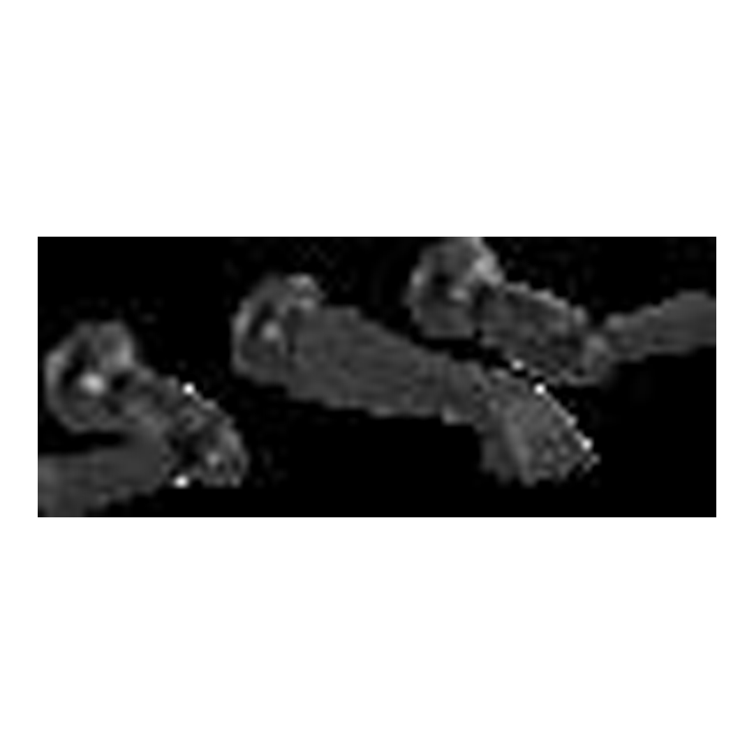 Delta Wall Mount Faucet Set-2